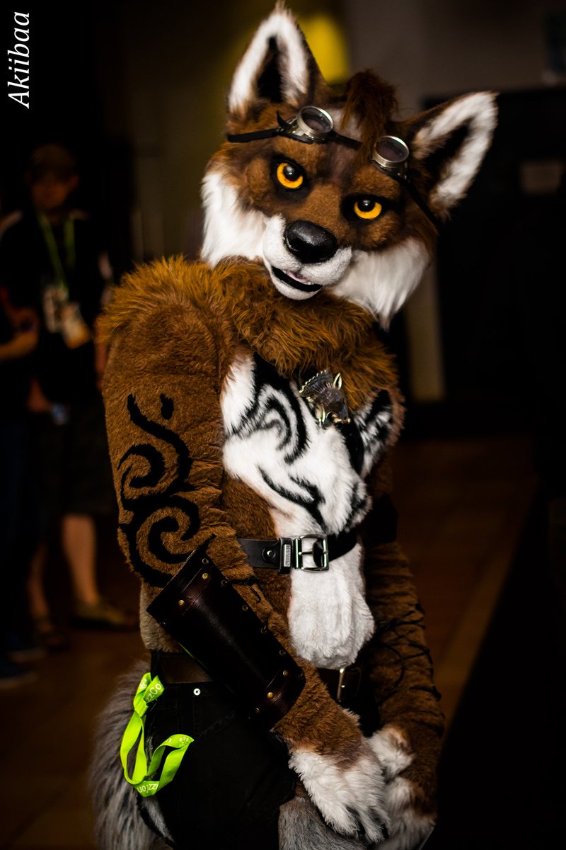 randonwolfy's tweet photo. Up next in my series of #FourFavorites from different photographers is @Akiibaa with photos from #NFC2016. Special guest appearance by @DirtyHyenas!  #FursuitFriday https://t.co/Yrgd5cx6pA