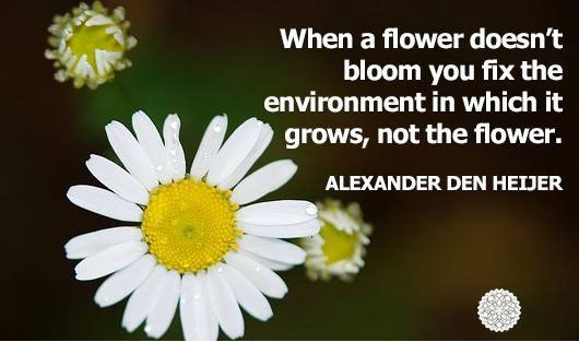 Jennifer_Hogan's tweet photo. Love the post on fellow #compelledtribe member @KarenWoodEDU's new website. https://t.co/itGppmA0Wt #kindnessmatters https://t.co/RdyXxyWZbI
