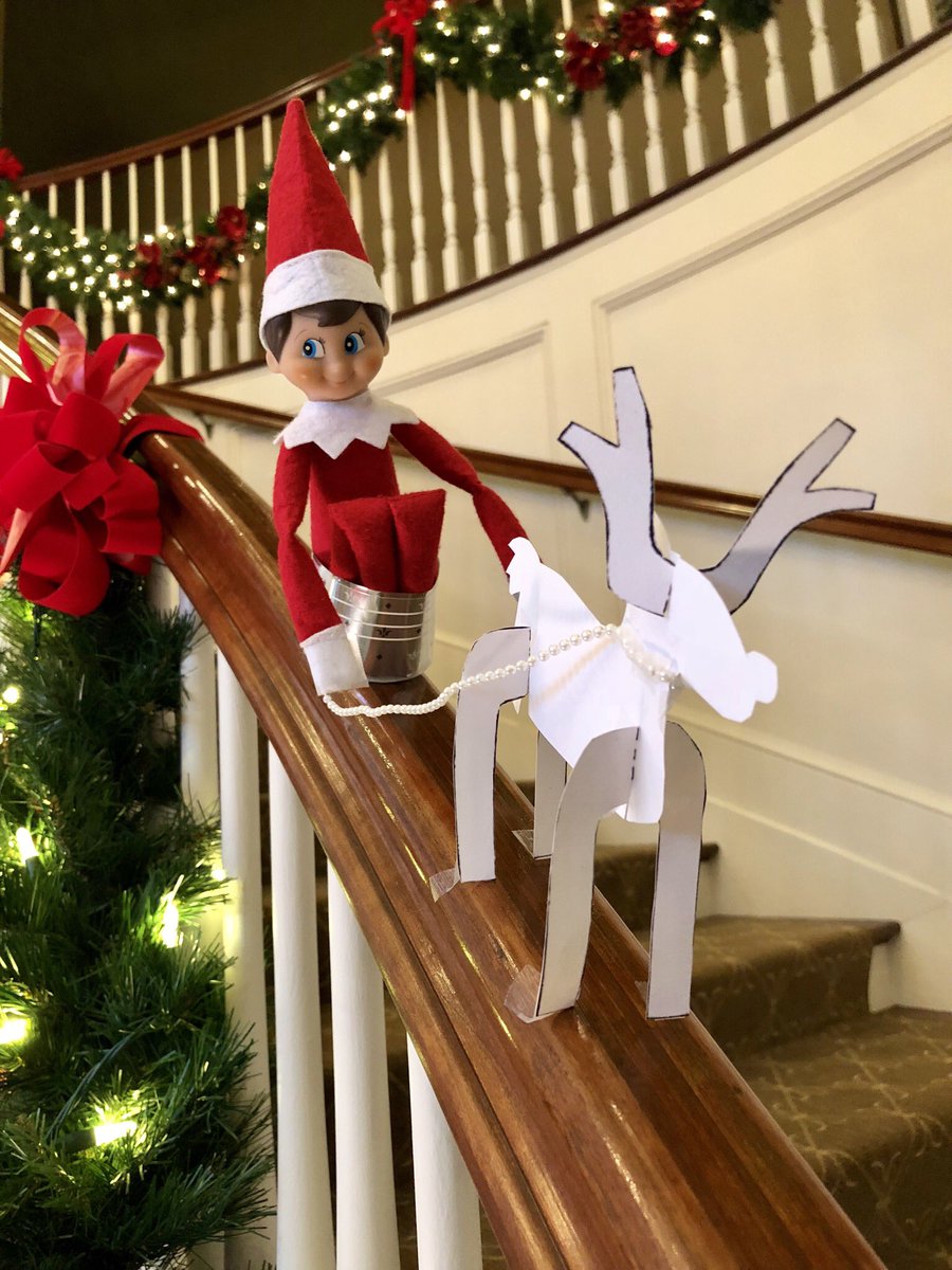 PLCCLife's tweet photo. On Dasher! On Dancer! On Prancer! On Vixen! Bogie was practicing for Christmas deliveries down the main staircase! #PLCCBogie #PLCCLife
•
•
•
#elfontheshelf #holidayfun #magicelf #reindeer #familyfun #santa #sledding https://t.co/Fx44wOTeQ5