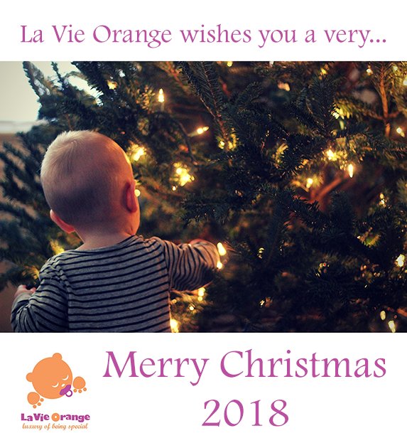 Merry Christmas to you and your family!