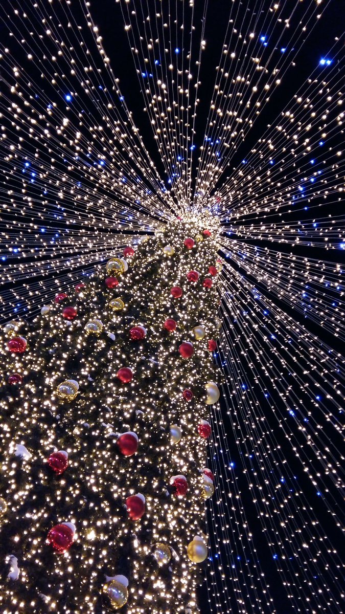 Bushustik's tweet image. #Екатеринбург 😍