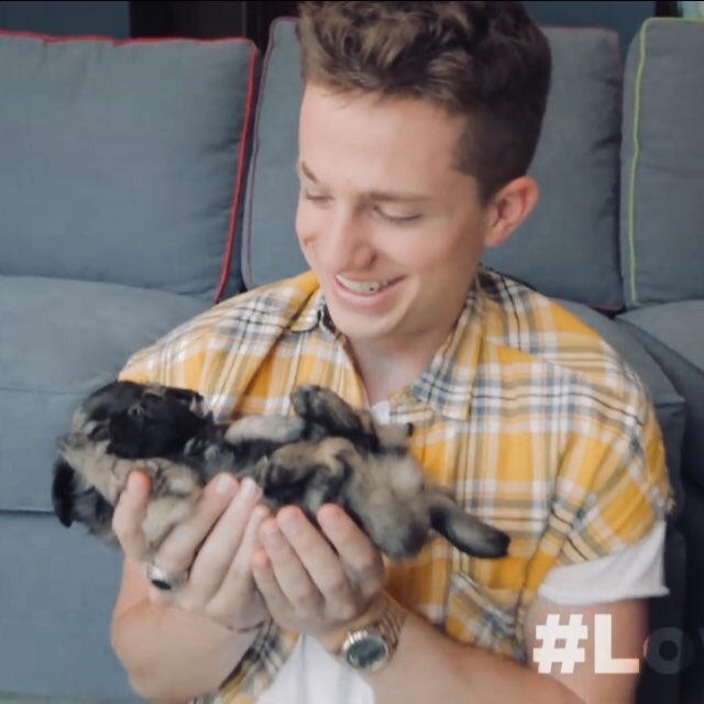 emily on Twitter "I mean who wouldn't hold a dog like a baby…