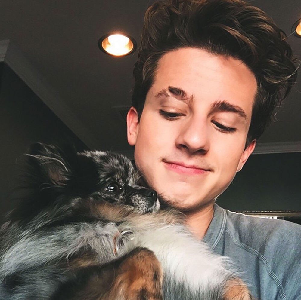 emily on Twitter "I mean who wouldn't hold a dog like a baby…