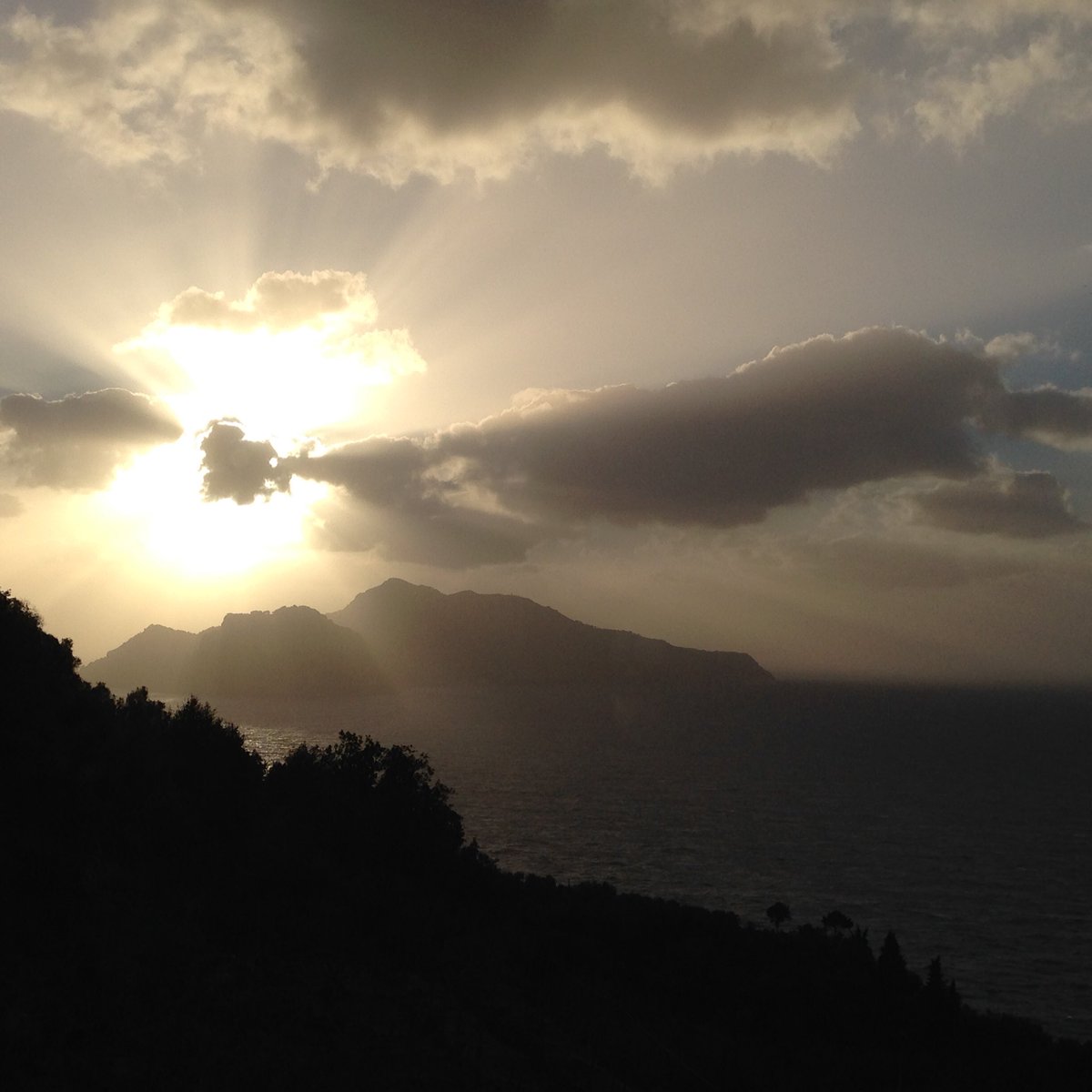 elio martusciello (@elio_martusciel) on Twitter photo 