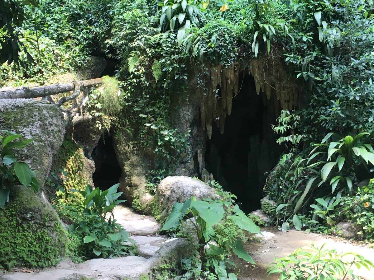 LeeJulija's tweet photo. In last 24hrs... went from 31C to 31F, from 1st day of summer to 1st day of winter, from longest daylight in a year to shortest daylight in a year... #Brazil #takemeback #3weeksofsun #rio #cristo #copacabana #jungle #animalplanetlive https://t.co/iLnX7uQz11