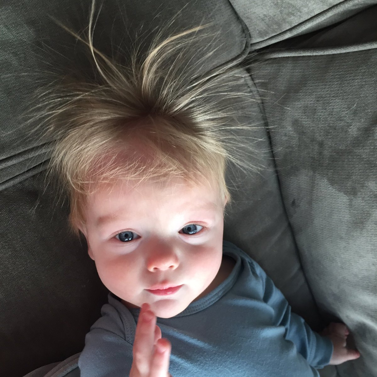 beingagrownman's tweet image. Who wore it better, Father or Son? 

*note - Father's took three hours, son's took one static-y brush against the couch 

#dadlife #formermodel #futuremodel