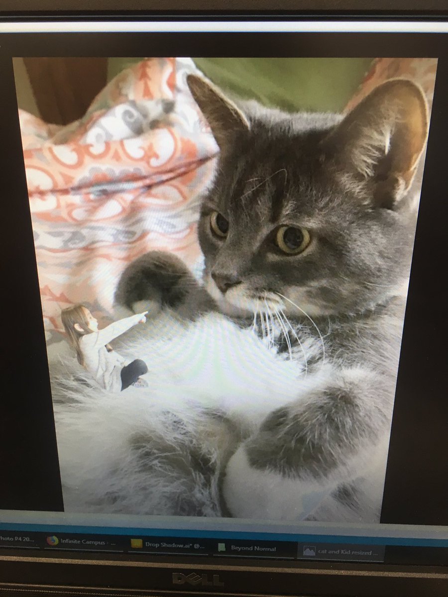 Laura Steffen tweet media