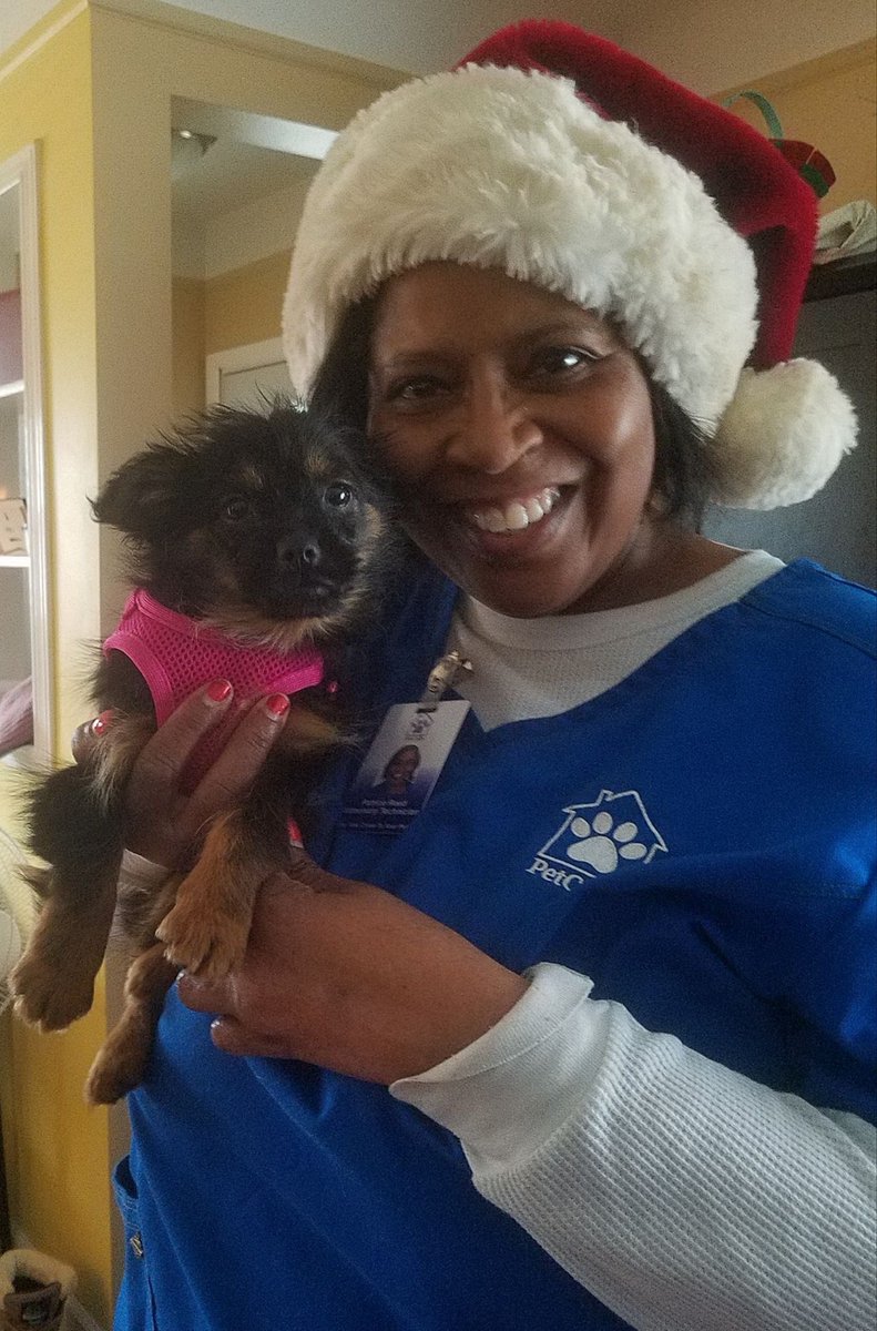 petcallsdvm's tweet photo. Patrice with Bailey- 10 week old Yorkie-Pom, Detroit 😄

#dogsofinstagram #dogsoftwitter #dogs #yorkie #puppy #pomeranian #detroit https://t.co/AF8xrwdOBn