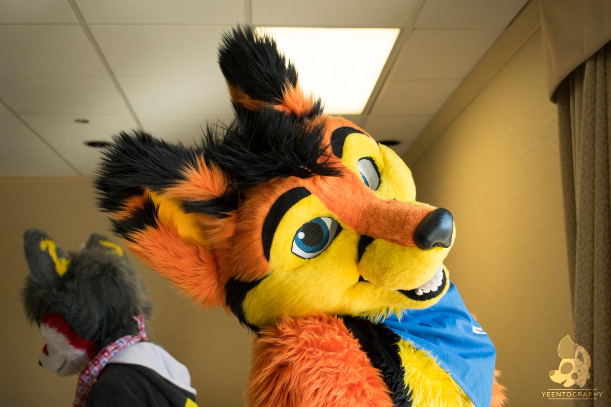 yeentography's tweet photo. Happy #FursuitFriday, everyone~! And a happy holidays from us yeens - we wish everyone a safe and happy weekend~❄️
Photos from #Furpoc2017 #FP2017 @FurpocalypseInc
View more: https://t.co/Clhh6RTITU https://t.co/OypZPLz9n3