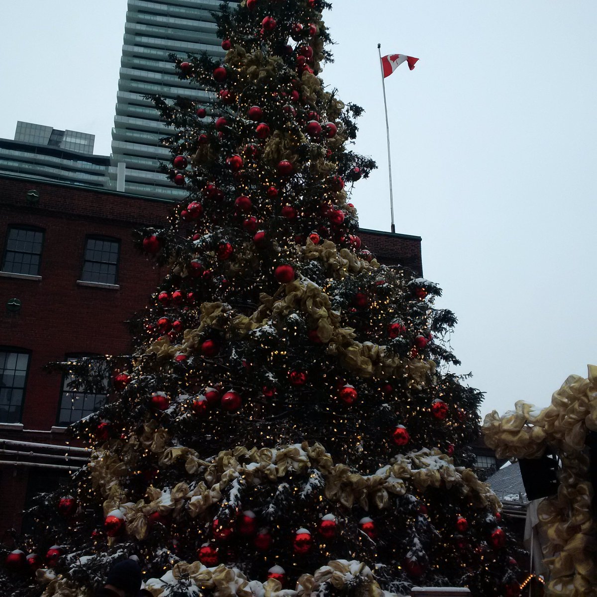 MsBriggsMath's tweet photo. Love this annual tradition... Toronto Christmas Market!! #TCM17 https://t.co/PrTaeYecKJ