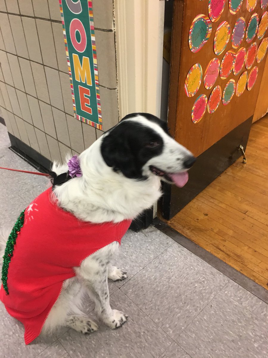 Jodi Contento tweet media