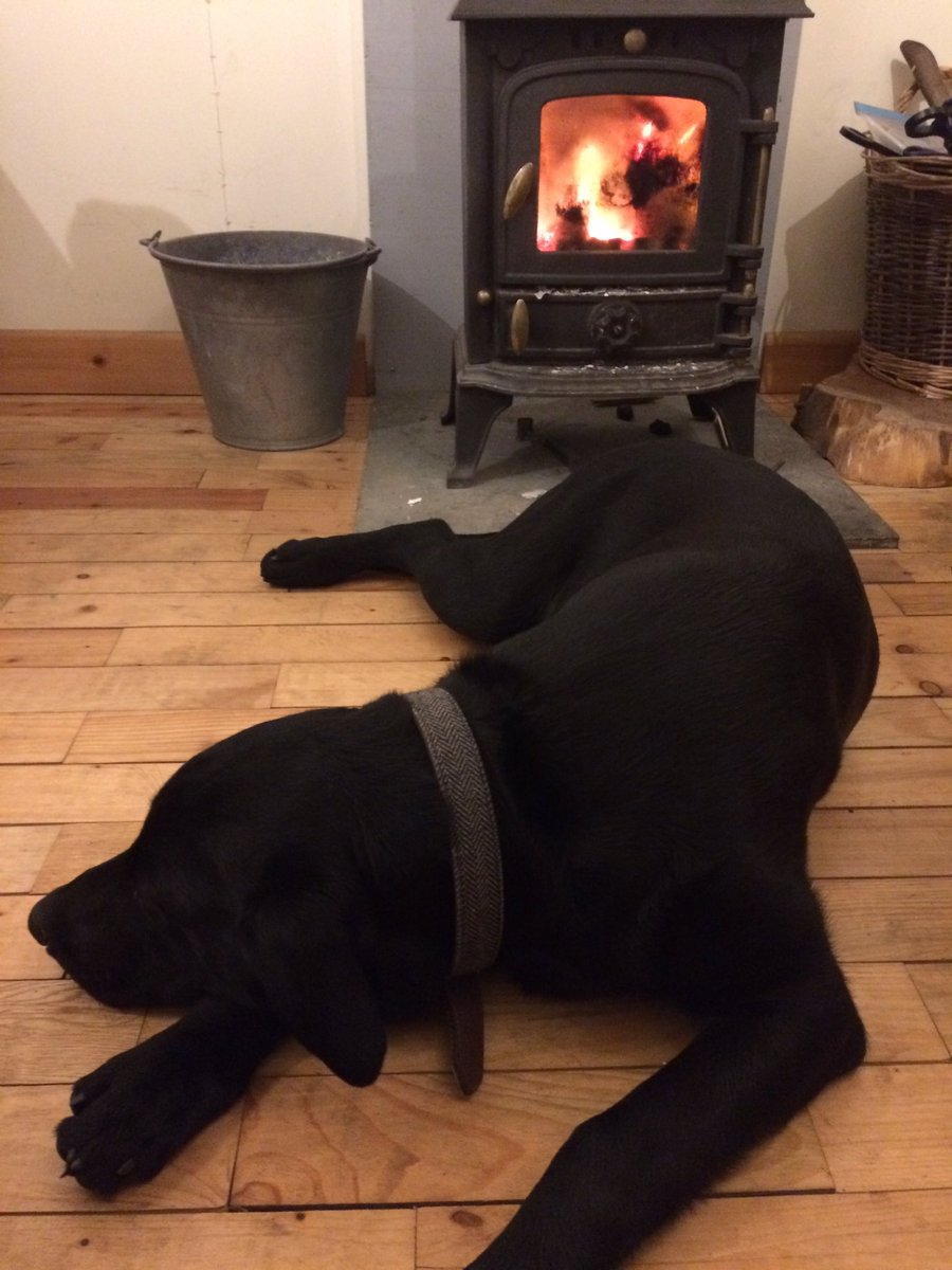 ChannelVFarm's tweet image. Tis the season to be cozy! #festive #hygge #puppy #farm365