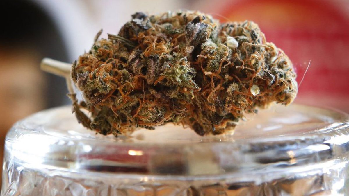 Joy to the weed! Marijuana legalization comes bearing gifts bit.ly/2phTtGM?utm_so… https://t.co/u7Yhc436Ge