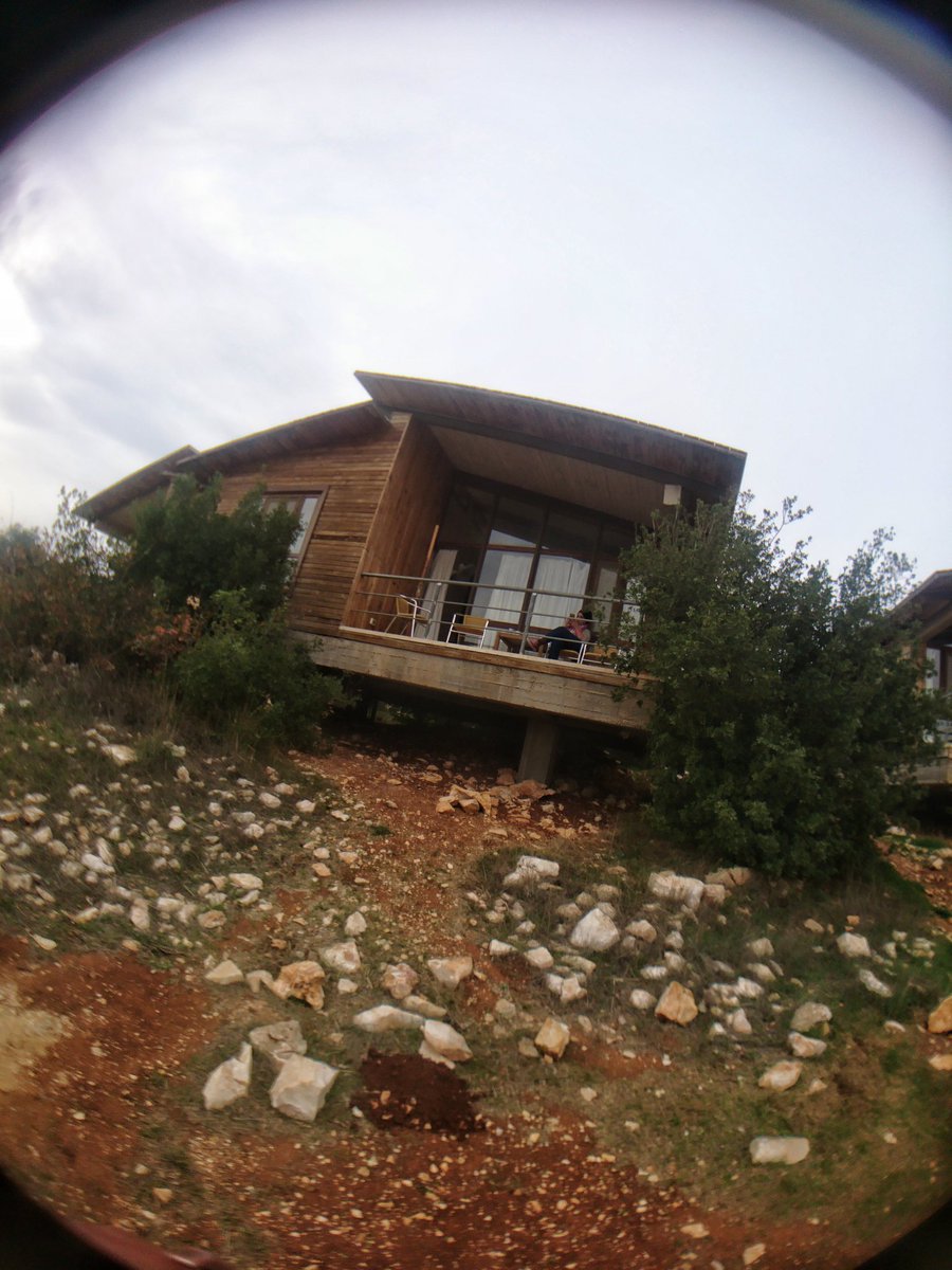 NadaNasir5's tweet photo. #محمية_غابات_عجلون
هناك حيث تروي عطش الروح.. ❤️
@RSCNJordan @wildjordan1 #lovejo #visitjo @VisitJordan #discoverjo #حب_الاردن #عجلون https://t.co/lmyi0OkU1L