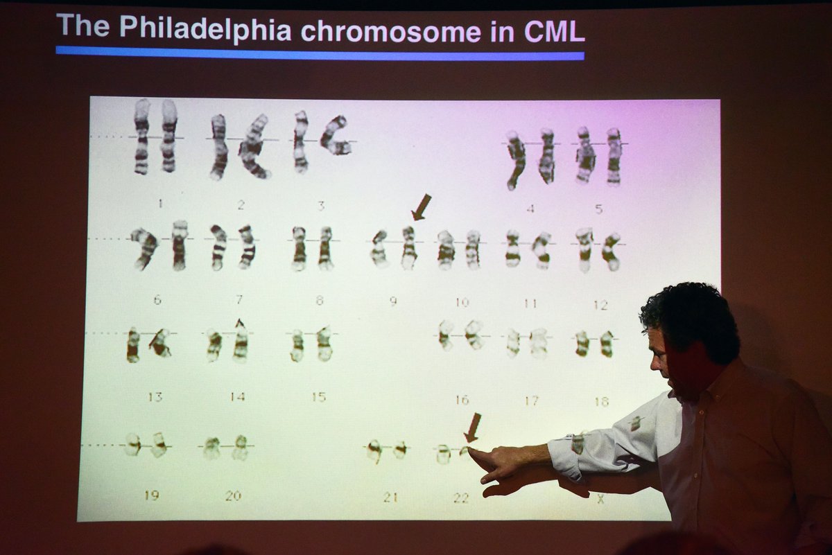 LigoProject's tweet image. Biologist Scott Lowe talks with students from Ligo Project &amp;amp; Eugene Lang’s Creating Solo Performance course about tumor-suppressor genes #LigoatLang #sciart #TNS