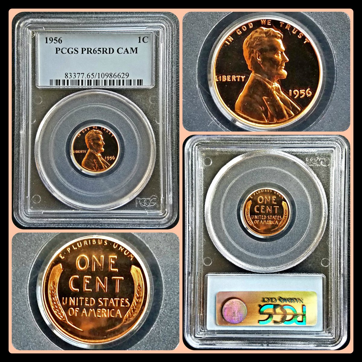 Apex_Collecting's tweet photo. 😃💯✔ High Grade Red Cameo!!!
#highgrade #cameo #red #redcent #proof #cent #penny #redpenny #numismatics #numismatica #numismatist #coins #beautiful #PCGS #sweet #fridayfeeling #fridaymotivation #shiny #mirror #deepmirror #uscoin #uscoins #oldcoins #preserved #graded #certified https://t.co/jdJ0x2zi2t