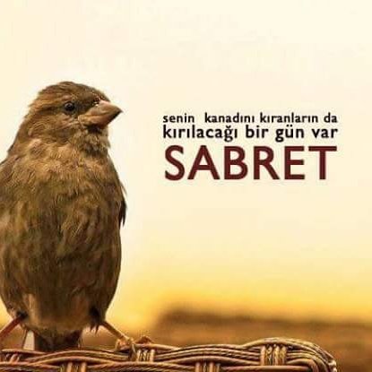 #YeniProfilResmi