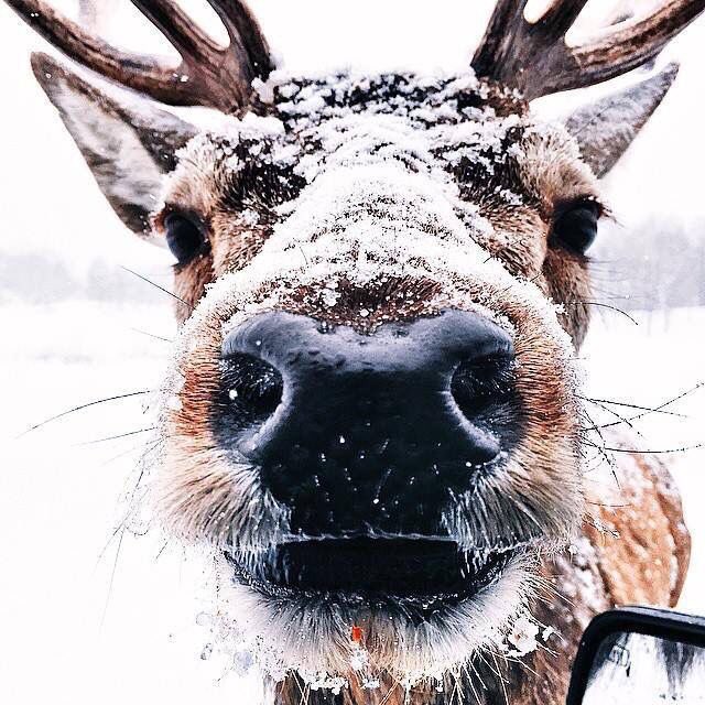 ATUESTILOUS's tweet photo. Christmas 🎄 is here #Christmas2017 #christmastime #WinterWonderland https://t.co/YpdfbLAY8Q