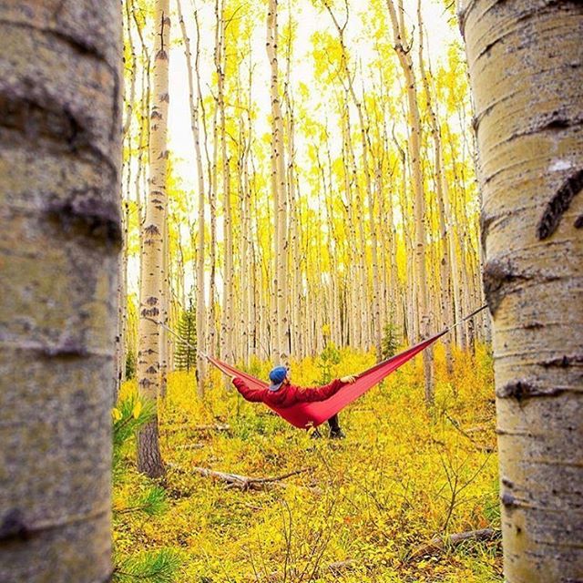 Sorry I can’t hang out today, I’m too busy. 📷 @roopax_hammock #hammock #hiketohammock #hammocking #fall #adventure #toolazy #explore #exploreoften #optoutside #hammocklife #hammockstyle dlvr.it/Q7GCLW