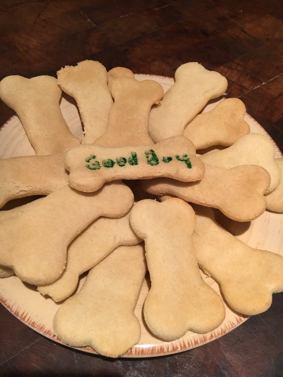 ShadowLakeDog's tweet photo. That’s ME! I’m a #goodboy and I got #homemadedogbiscuits! #happydog @dogcelebration https://t.co/XXn8iiGuOL
