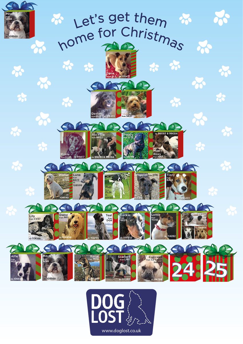 doglostprteam's tweet photo. #getthemhomeforchristmas Day 23: Cupcake the Miniature French Bulldog missing from Ardee, Co Louth
https://t.co/MvEbQOt8pX https://t.co/PUdMqVkPlB