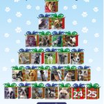 Photo by DogLost PR Team (@doglostprteam)
