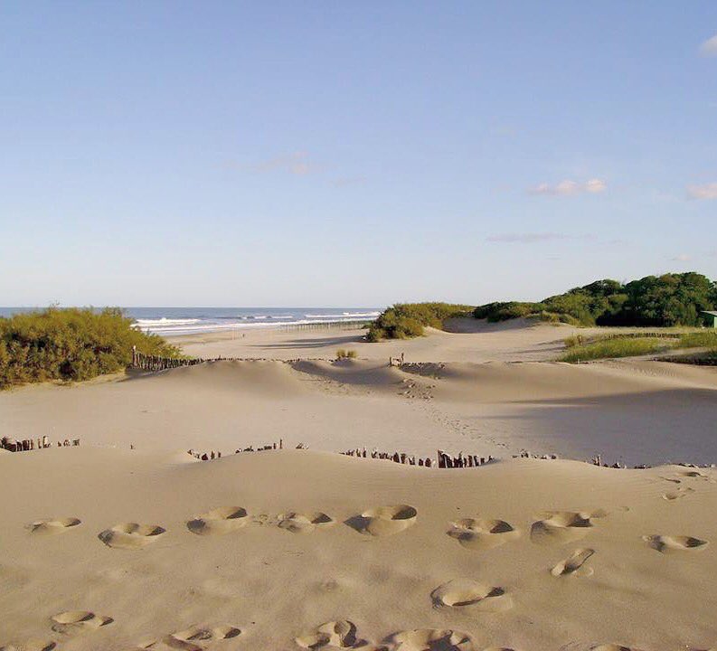 Bienvenido verano...