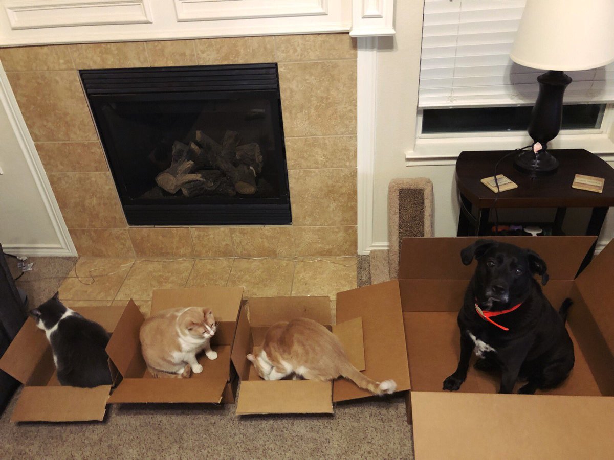 Packing and shipping.