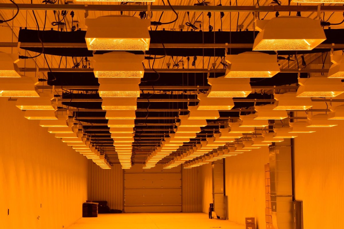 hawthornegc's tweet photo. There is NOTHING like a blank canvas! Check out this setup using our DE Boss reflectors,  Sun System 1 ballasts and Ideal Air Grow Soks. This room is GLOWING with potential!!!

#SunlightSupply #GardenPorn #Potential #ColoradoGrows #Colorado https://t.co/mGLjA52UCM