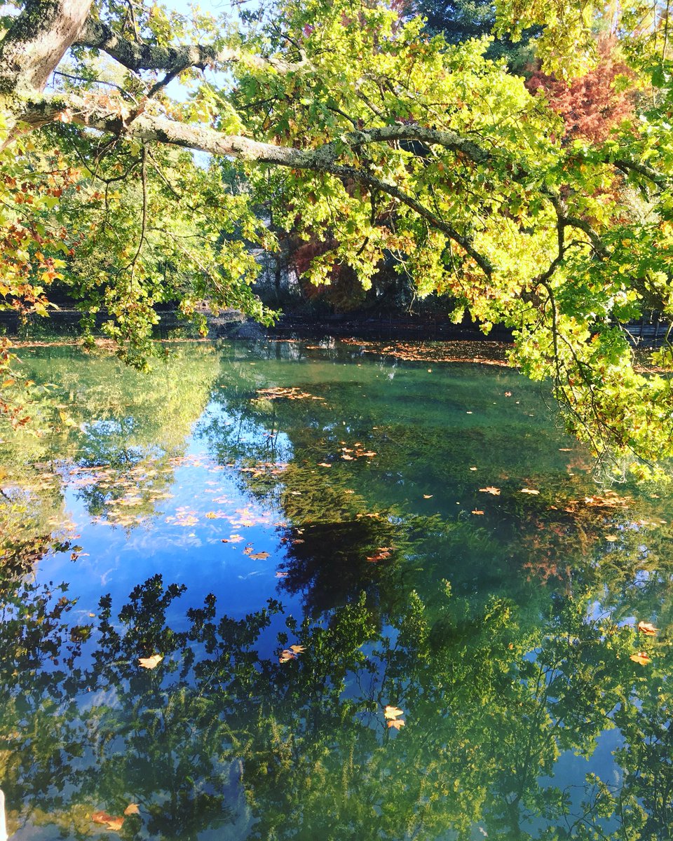 JulouIsarlo's tweet photo. J’aime bien mes photos https://t.co/J9q778YtG7