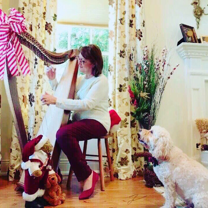 Bedside_Harp's tweet photo. Happy Howlidays!
#bedsideharp #harp #healing #musicinhealthcare #singingdog #peace #harmony #love #happyhowlidays https://t.co/u9OXfvaxzb
