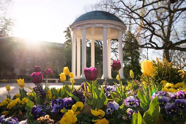 The University of North Carolina at Chapel Hill tweet media