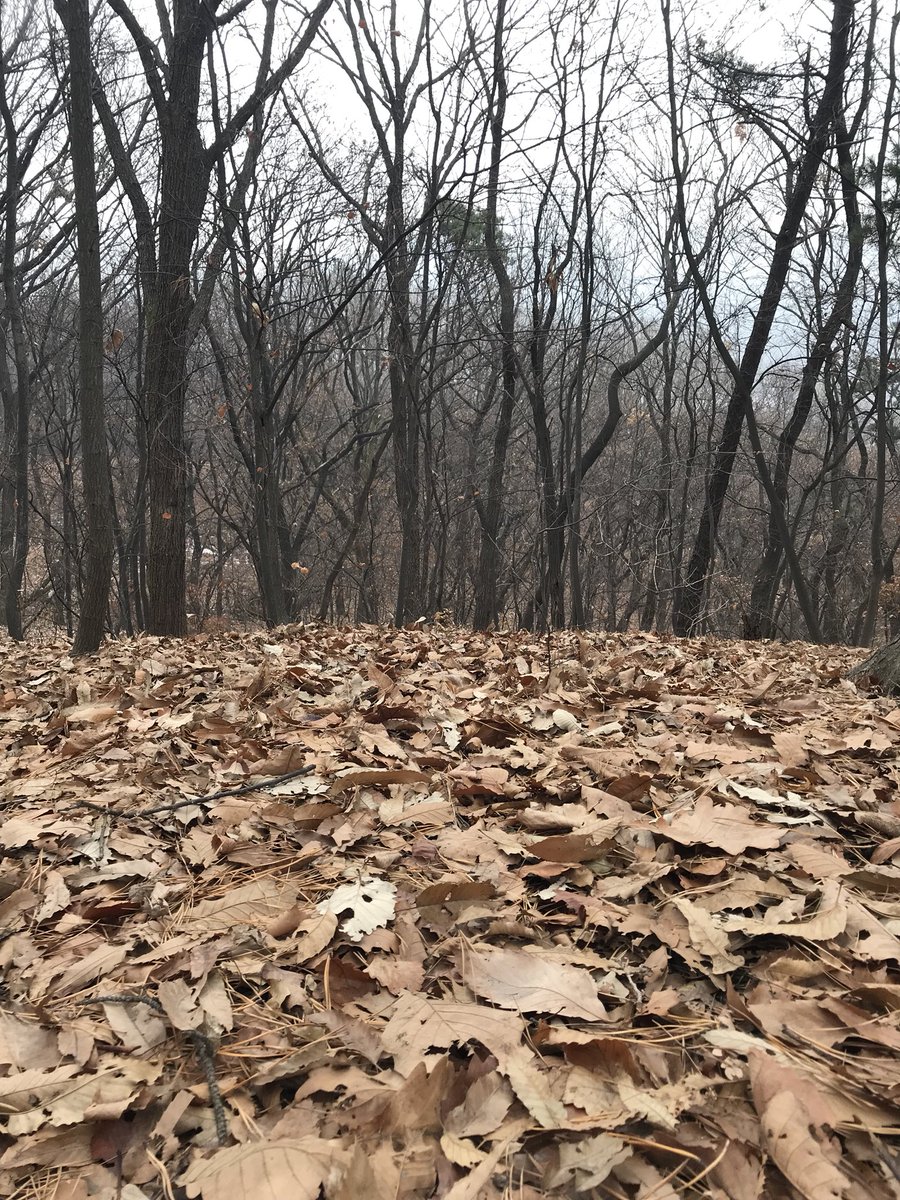 생각은 오늘도 바쁘구나
숲속은 이렇게 적막한데도...
#명상 #왓칭 #자연