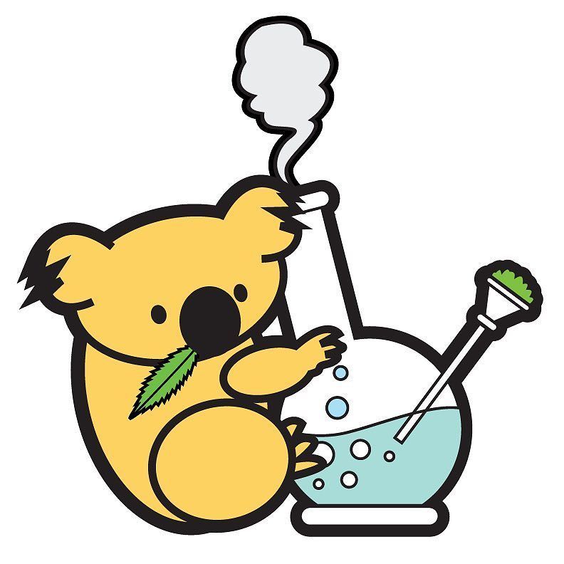 miss_olive47's tweet photo. I was thinking about those tiny koala bears you used to clip on to your jeans jacket #koalas #bong #mmj #california #weedstagram #laartist #cannibusculture #comingsoon #losangeles #illustration #streetartist #london #puff #olive47 #koalasarenotchill https://t.co/wznglL0c2r https://t.co/ae07GMXxnC