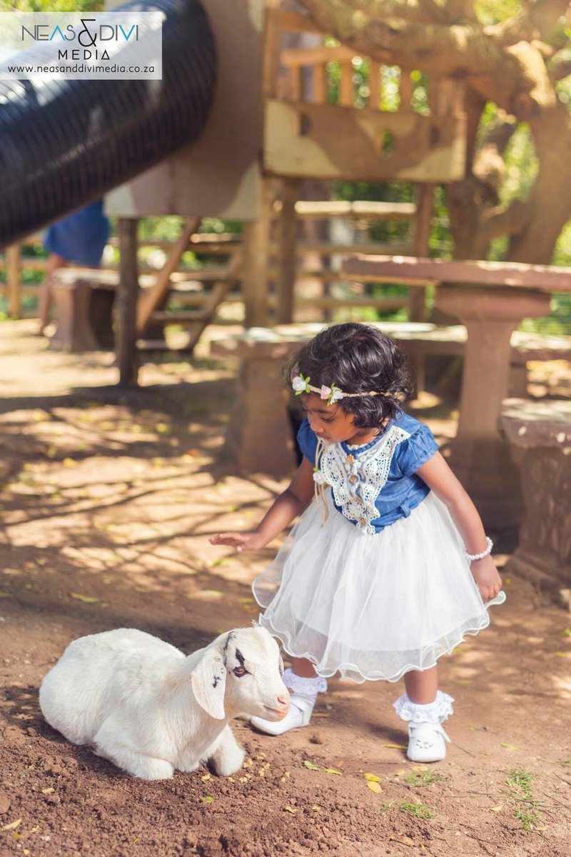 Flag Animal Farm tweet media