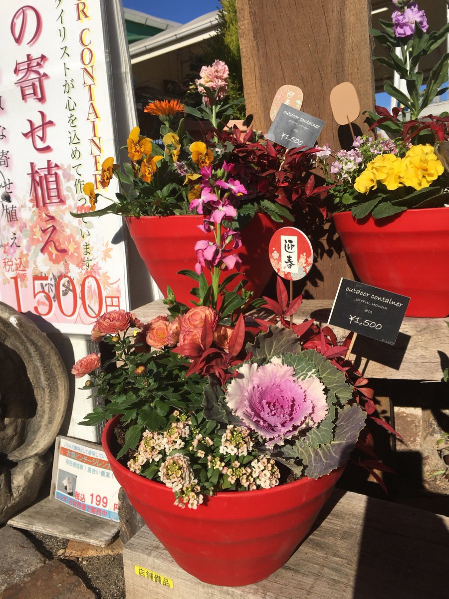 O Xrhsths ジョイフル本田 ガーデンセンター Sto Twitter ガーデンセンター新田店 明日12月24日 日 14 00 お正月の寄せ植えの作成教室を行います 全て込みで1500円 年末は玄関先を飾る花が必須ですね 切花より長ーく保ちますよー