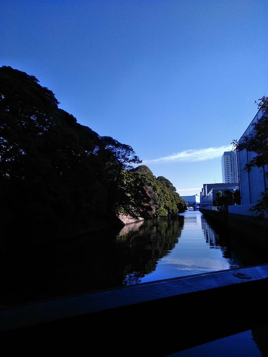 Hawaii_Blue3's tweet photo. リムと二人で自転車に乗って来ました！
遠かったー https://t.co/tkWKHNWkuO