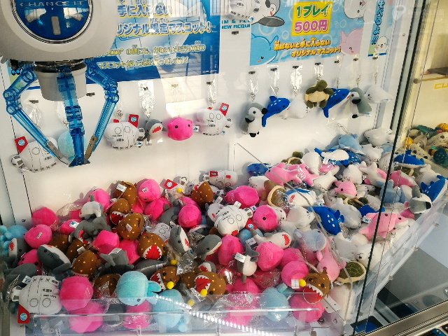 新江ノ島水族館 当館のクレーンゲームは 取れるまで何度でも挑戦できます T Co Ts40kdoxuu Twitter