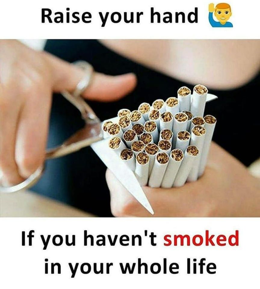 bluechip02's tweet photo. Raise your hand
#bluechipentertainment #funny #funnypics #Entertainment #entertainmentweekly #Entertainment_Weekly #fun #funfact #funkibaat #funkibaat100 #hilarious #cigarette #cigarettes #cigarettetorture
https://t.co/89zR9gLUuN https://t.co/ofYqsmvQo7