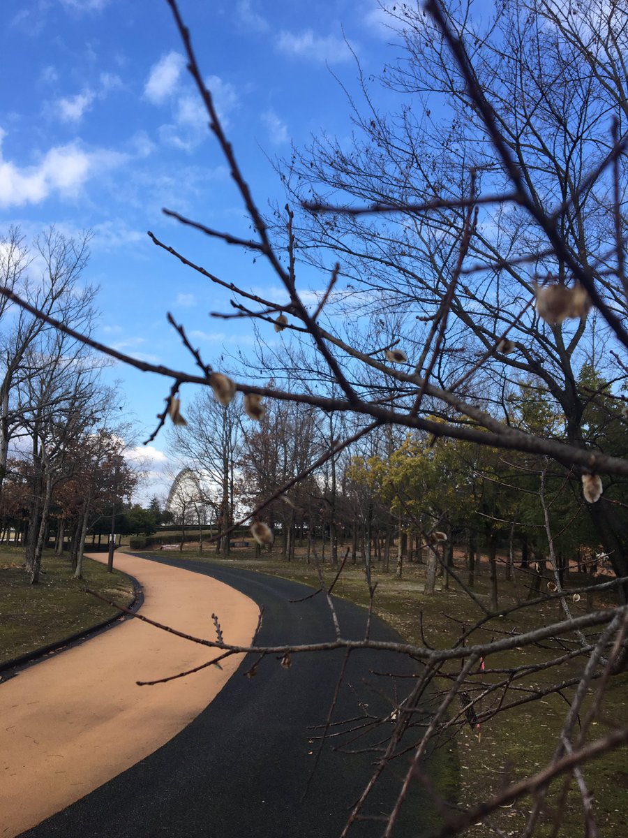 jyo43's tweet photo. 朝、雨もあがり疾る
#km6分ぺース
#県総ラン
#VO2MAXは44
#気温4度涼しい
#いつものメンバーさん（笑） https://t.co/QxKfs24MK8