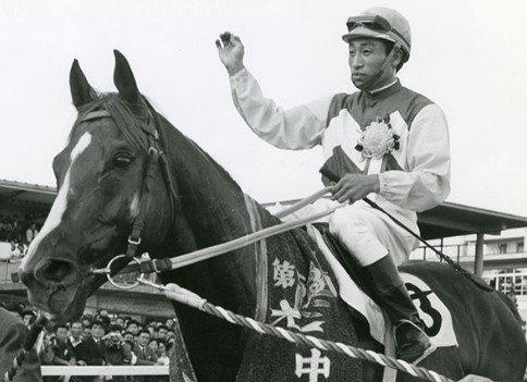 中山の大障害レースを4勝以上した馬はフジノオー（63年秋、64年春秋