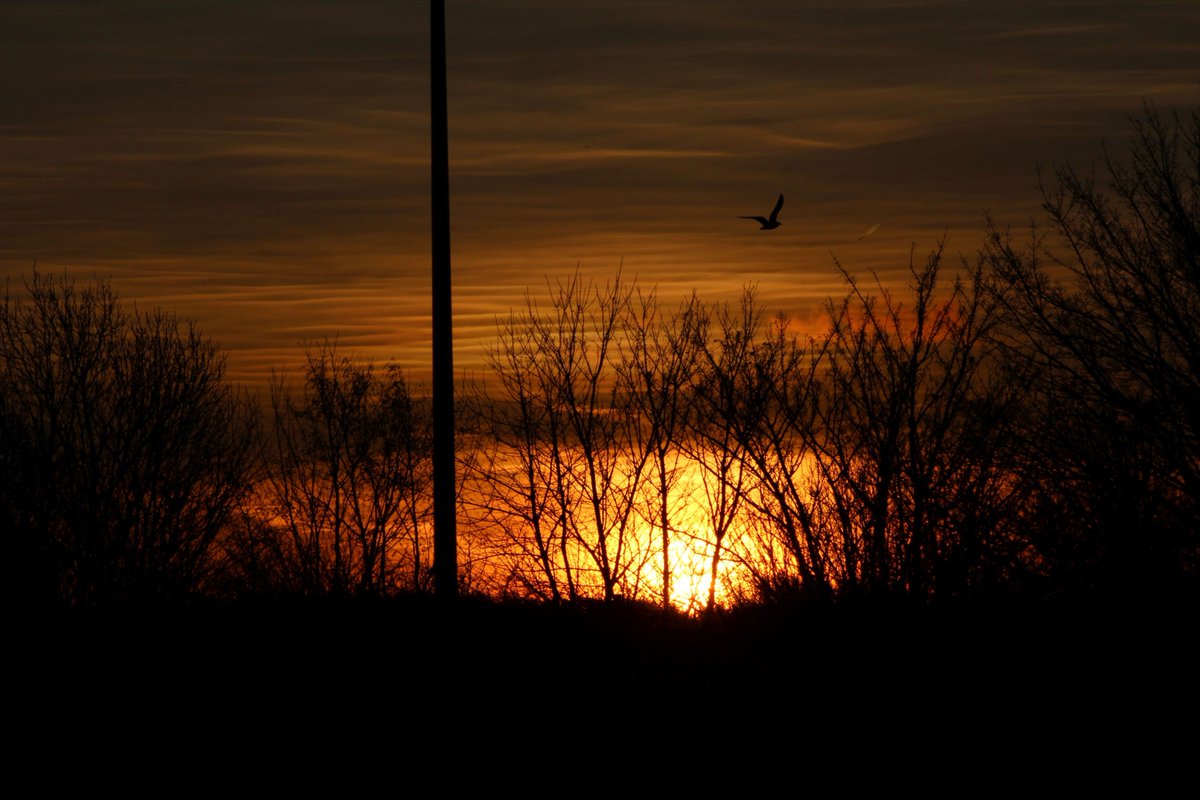 DavidBflower's tweet photo. Sunrise. Newcastle upon Tyne, UK. 23rd December 2017. https://t.co/anBnIAqYyk