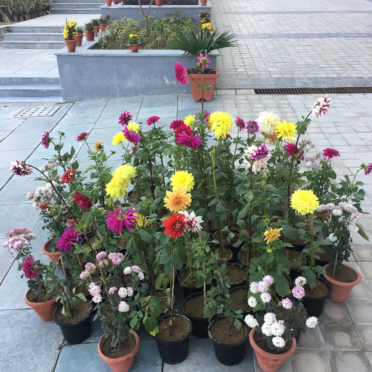 ponguru's tweet image. Our admin staff rock!!! #IIITDConvocation #SixthConvocation #classof2017 @IIITDelhi