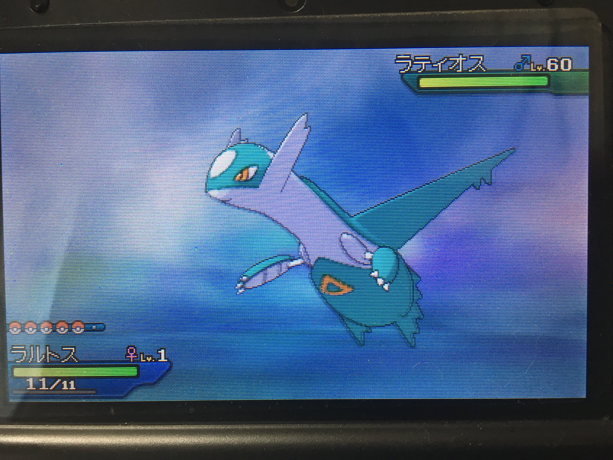 みちみち A Twitter 色違いラティオスキター 今回は早目に出てくれた 実は こいつ2体目です 1体目はシンクロが効かなかったため 生意気 納得がいかず泣く泣くリセット 臆病出てくれて良かった ポケモンウルトラサンムーン 色違いポケモン