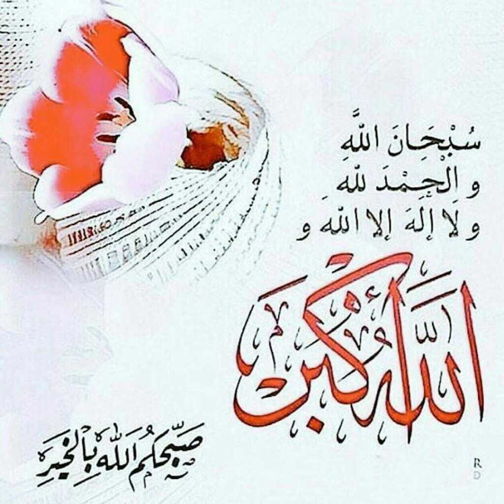 Mahmoud Emir (@emir_mahmoud) | Twitter