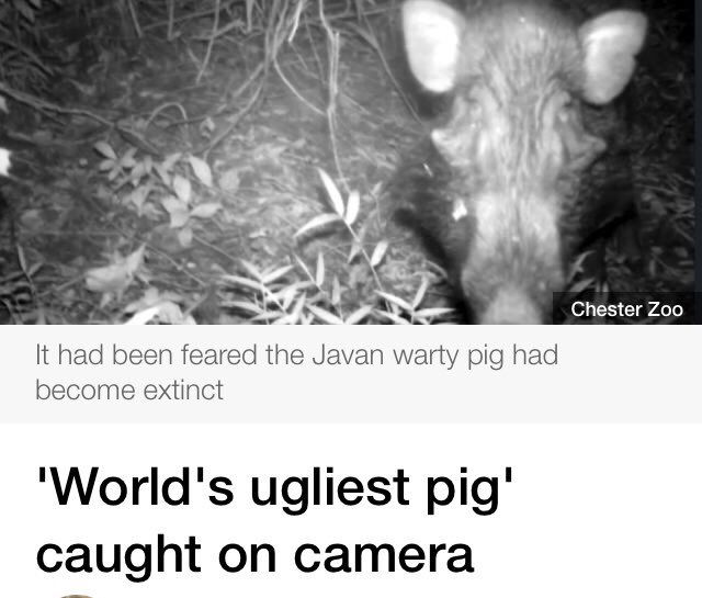 When you take a selfie