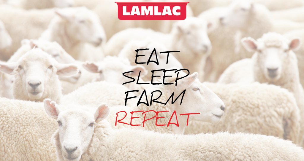 lamlacvolac's tweet photo. We have 10 FREE and FANTASTIC Lamlac calendars up-for-grabs, interested? All you have to do is like and share this post! #Sheep365 #Christmas #Farm365 🐑🐑🐑 https://t.co/A8Uayvw56s