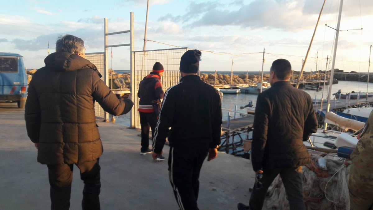 Toni Scilla tweet media