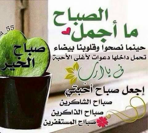 1Elhello's tweet image. 