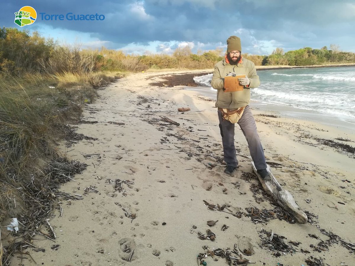 Torre Guaceto On Twitter Abbiamo Vinto I Cottonfioc In